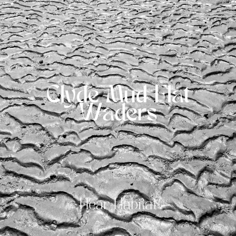 Clyde Mud Flat Waders
