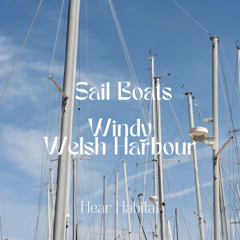 Sail Boats in Windy Welsh Harbour