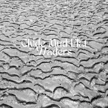 Clyde Mud Flat Waders