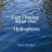 Fast Flowing River Dee