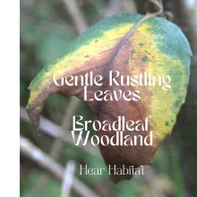 Gentle Rustling Leaves