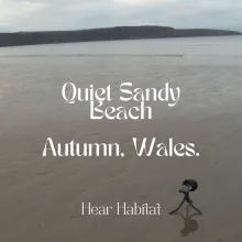 Quiet Low Tide Sand Beach Autumn